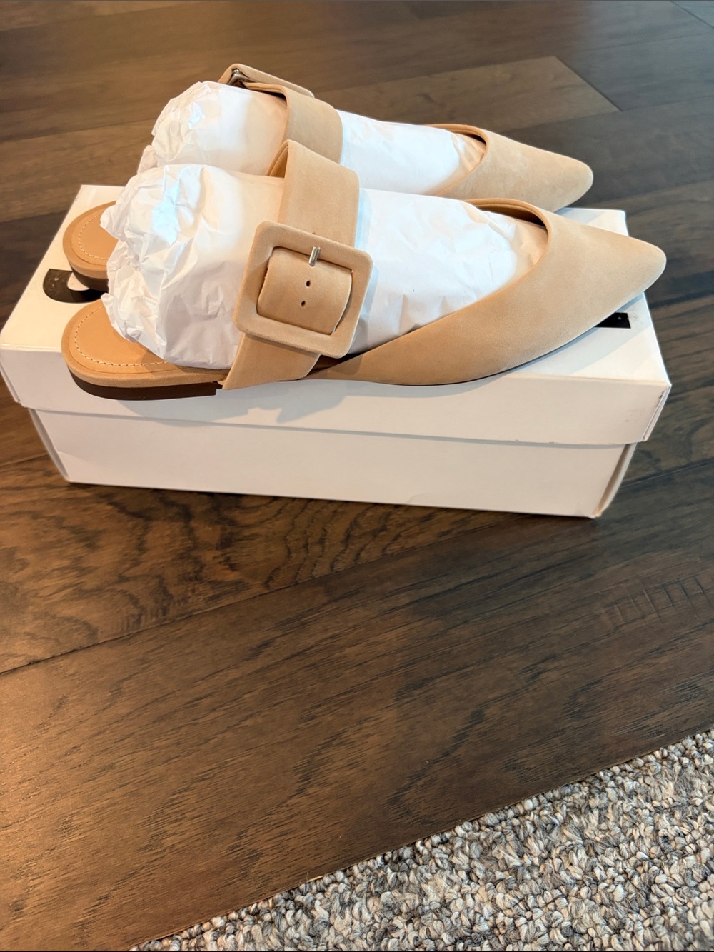New In Box Schutz Adilia Pointed Toe Buckle Mule Flats Sz 8 - Picture 2 of 7